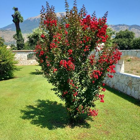 Antica Casa Scardone Βίλα Piedimonte San Germano Εξωτερικό φωτογραφία