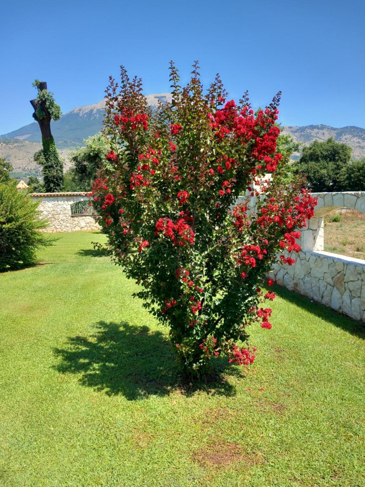 Antica Casa Scardone Βίλα Piedimonte San Germano Εξωτερικό φωτογραφία